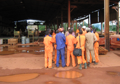 Figure 5 - The technicians of the sawmill de de Béla